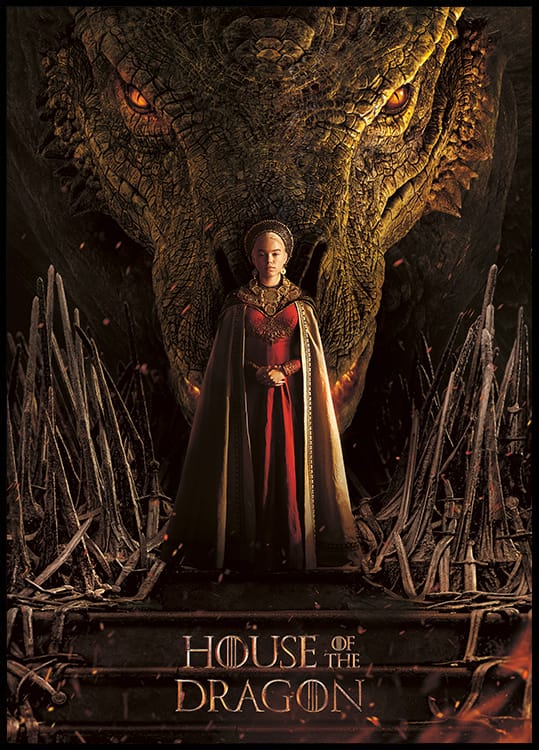 WB0172-8 House of the Dragon - Rhaenyra Targaryen No2 50x70.indd